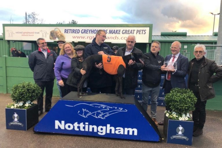 Star Sports Greyhound Derby SEMI FINAL DRAW Football & Racing News