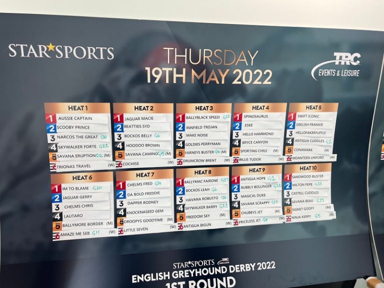 Greyhound Derby 1st rnd DRAW, FORM & PREVIEW NIGHT Football