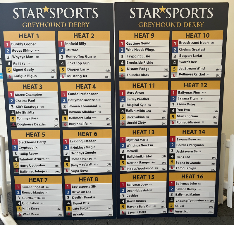 Star Sports Greyhound Derby 2023 SECOND ROUND DRAW Football