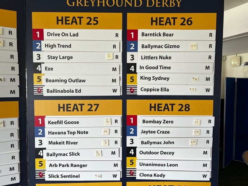 Star Sports Greyhound Derby 2024 DRAW Football & Racing News Star