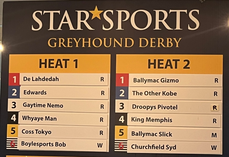 LIVE BLOG Greyhound Derby Quarter Finals Football & Racing News