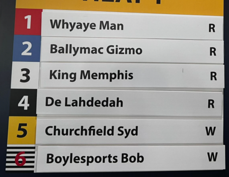 Star Sports Greyhound Derby 2024 DRAW Football & Racing News Star